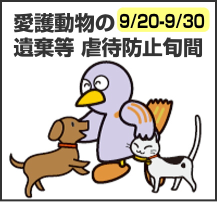 動物愛護週間　9/20-9/26 坂戸市市民ホールで啓発活動します！