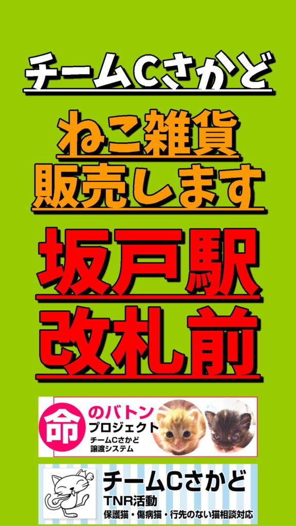 ねこ雑貨販売いたします！　at 坂戸駅・改札前（坂戸市南北自由通路）　